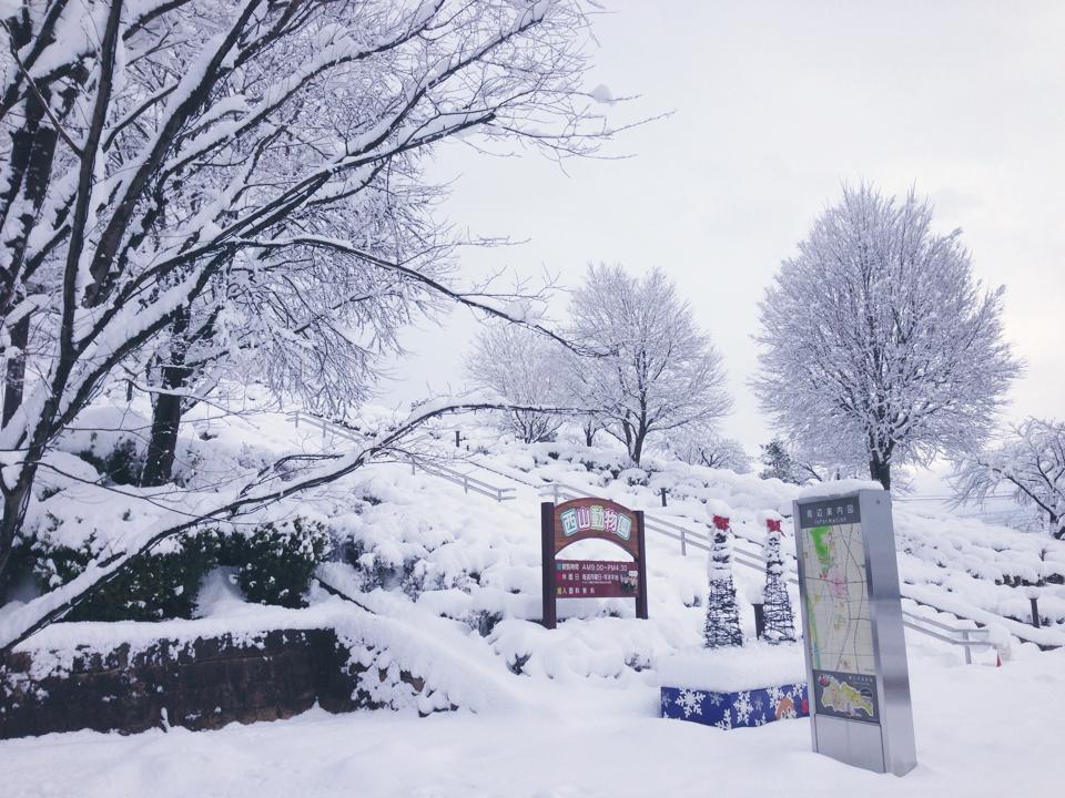 冬の西山公園