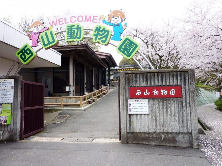 施設案内 道の駅 西山公園